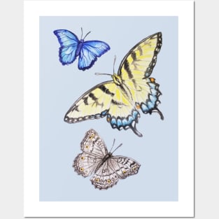 Butterflies Posters and Art